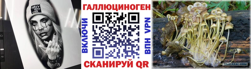 Галлюциногенные грибы прущие грибы  Купить закладки  Пикалёво 